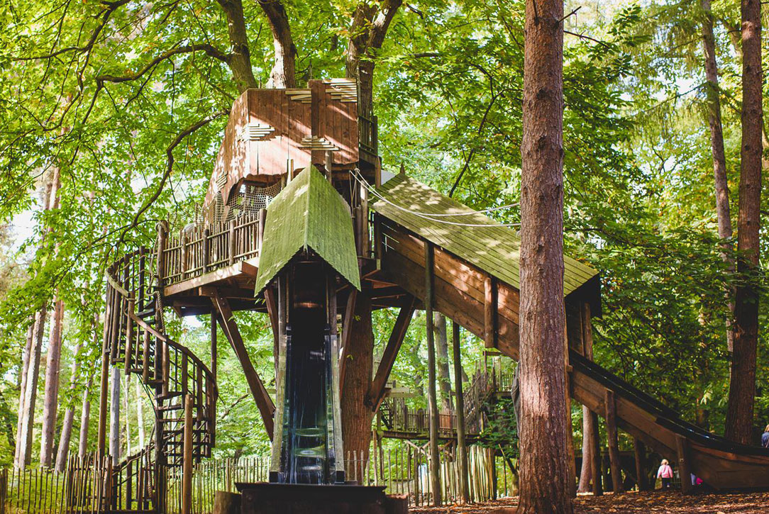 bewilderwood