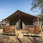 Glamping Safari Tent Norfolk Outside